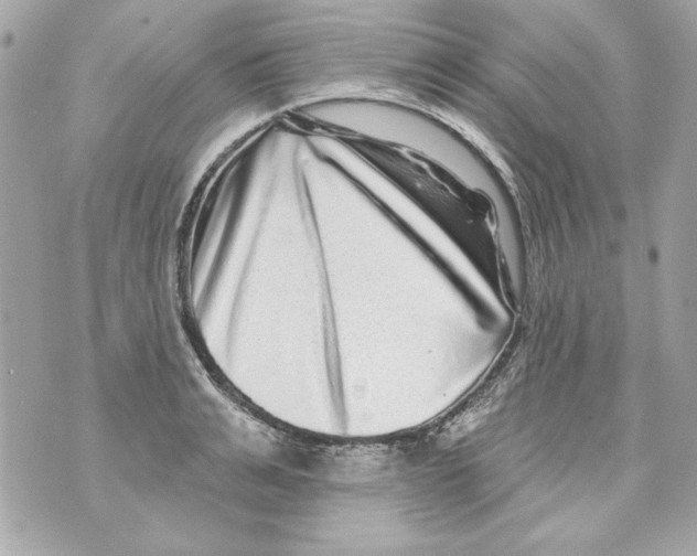 X0000070420991200607072330