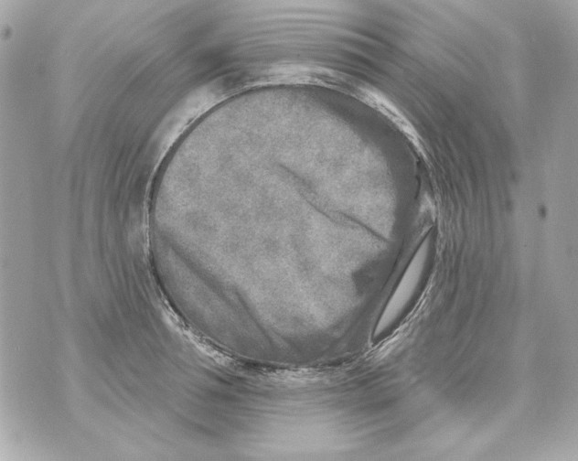 X0000070420994200607072330