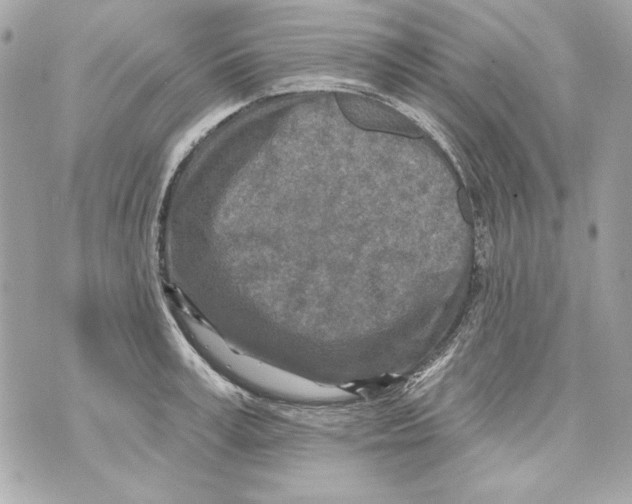 X0000070420995200607072330