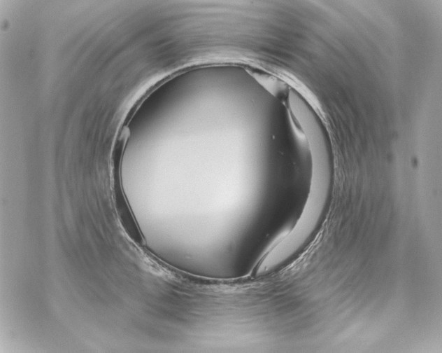 X0000070420996200607072330