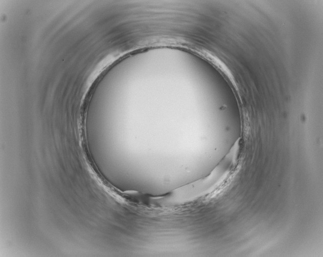 X0000070420997200607072330