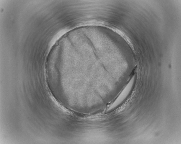 X0000070420998200607072330