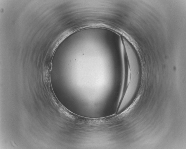 X0000070421001200607072330