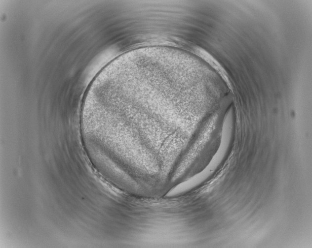 X0000070421002200607072330