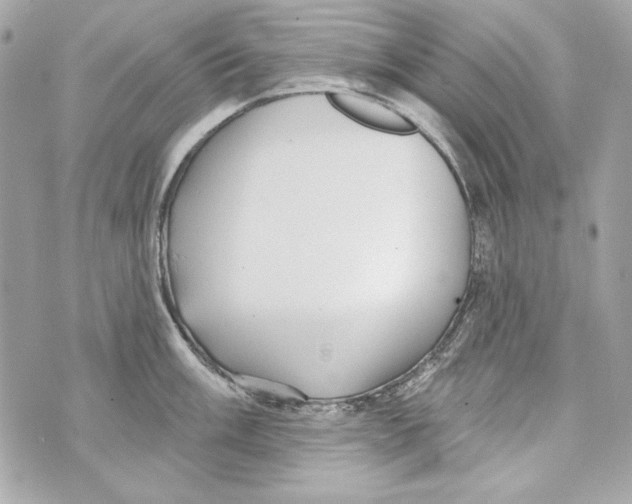 X0000070421003200607072330