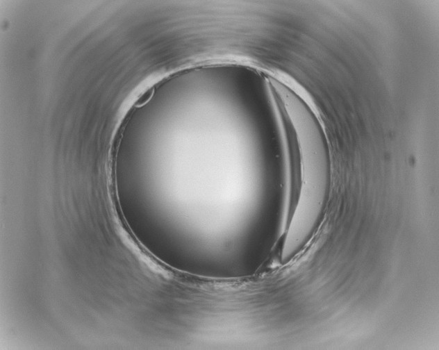 X0000070421005200607072330