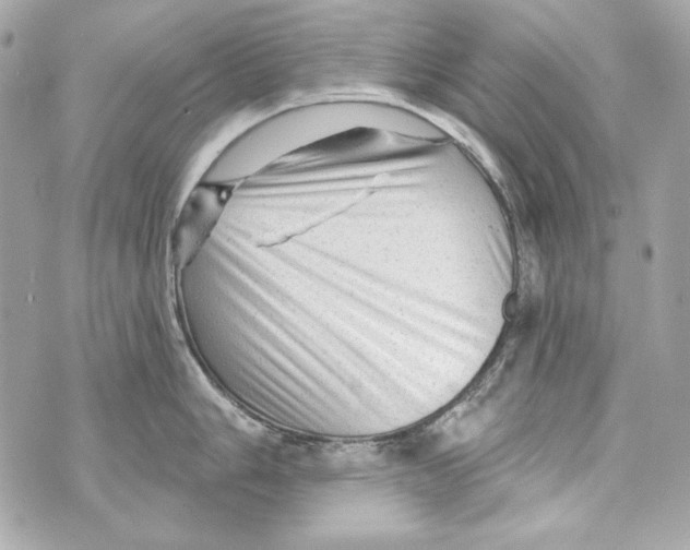 X0000070421006200607072330