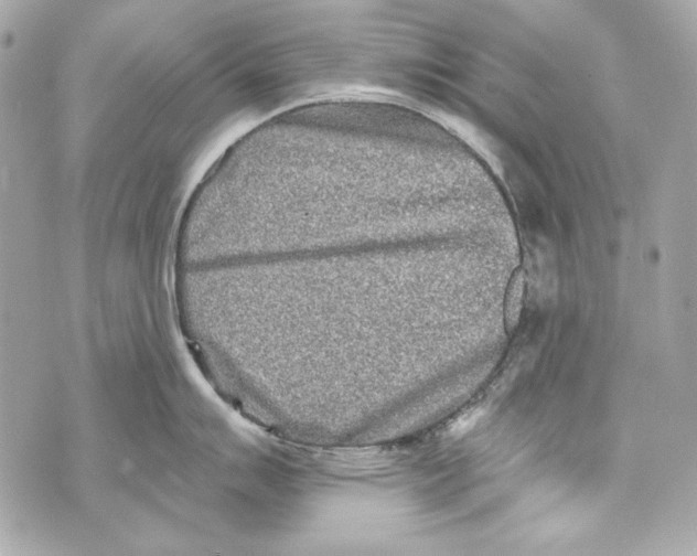 X0000070421007200607072330