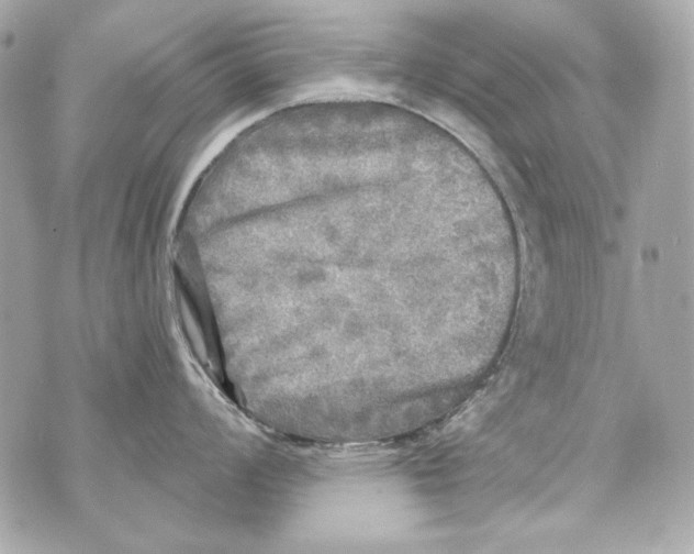 X0000070421008200607072330