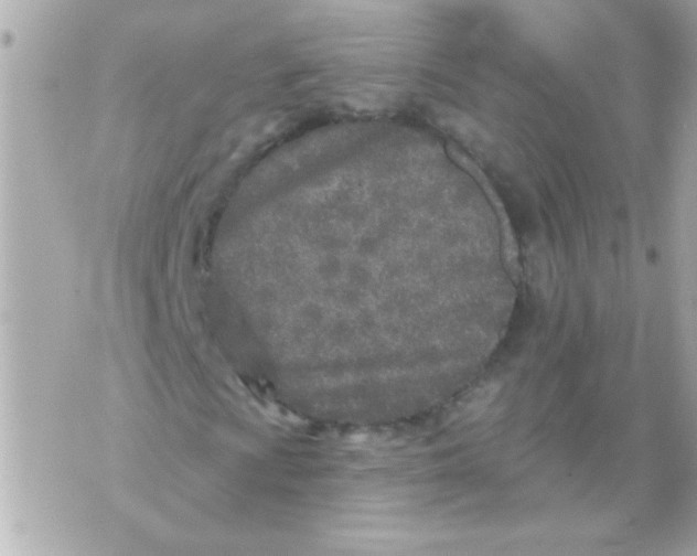 X0000070421009200607072329