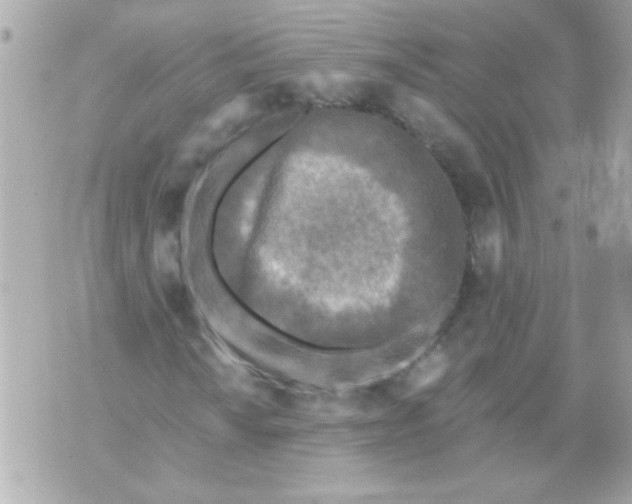 X0000070421010200607072329