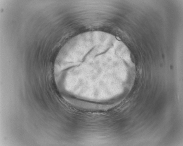 X0000070421012200607072329