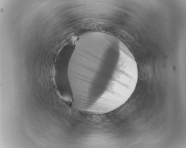 X0000070421013200607072329