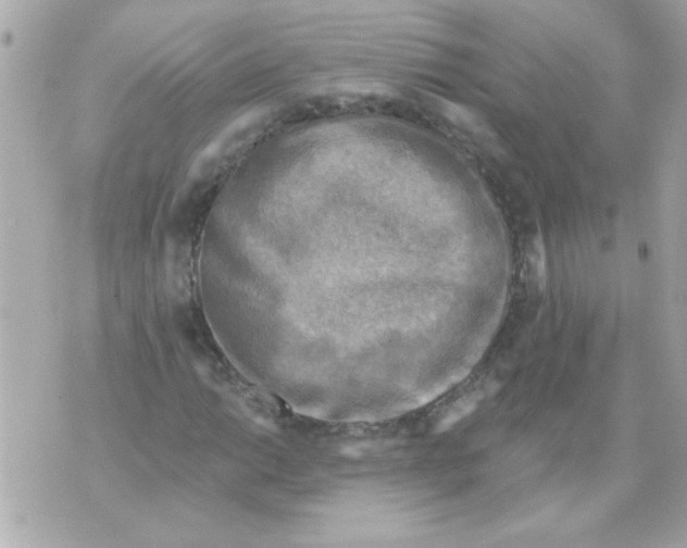 X0000070421014200607072329