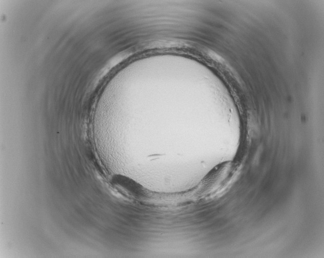 X0000070421017200607072329