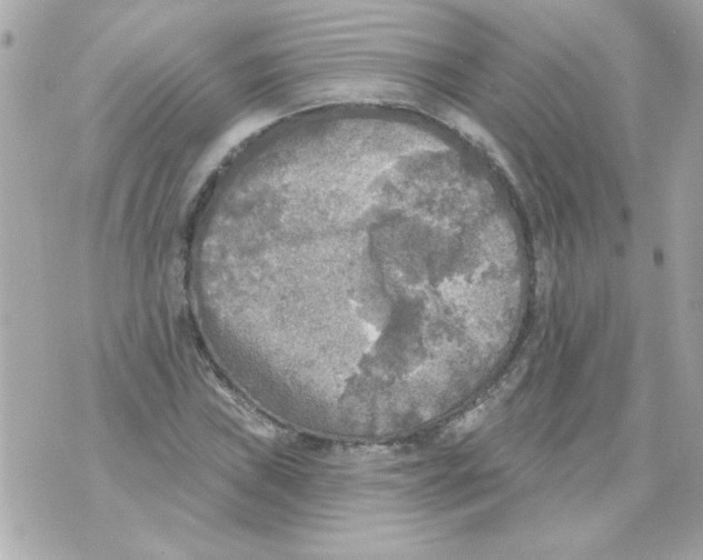 X0000070421019200607072329