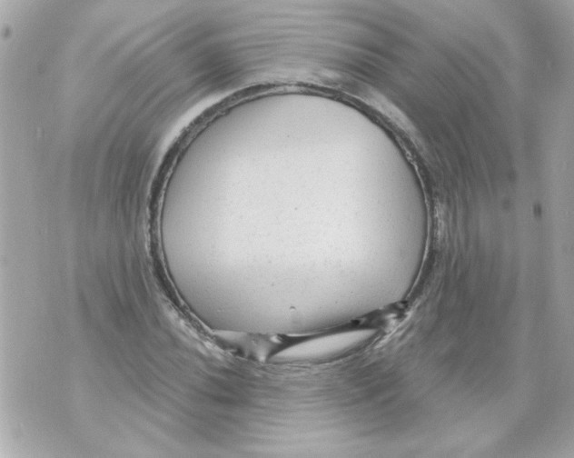 X0000070421020200607072329