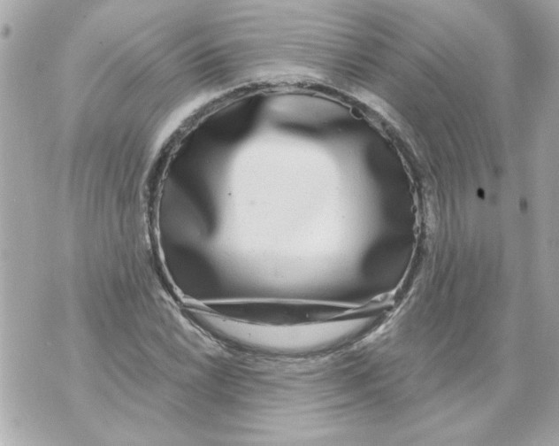 X0000070421022200607072329