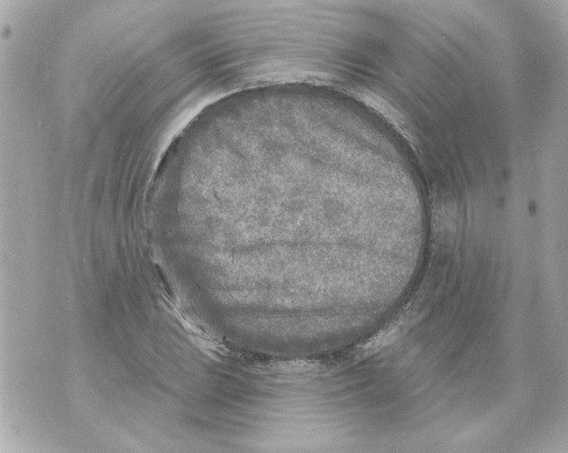 X0000070421023200607072329