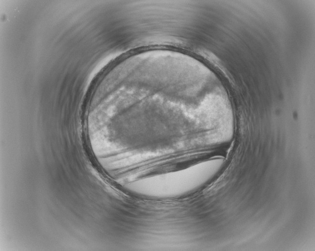 X0000070421024200607072329