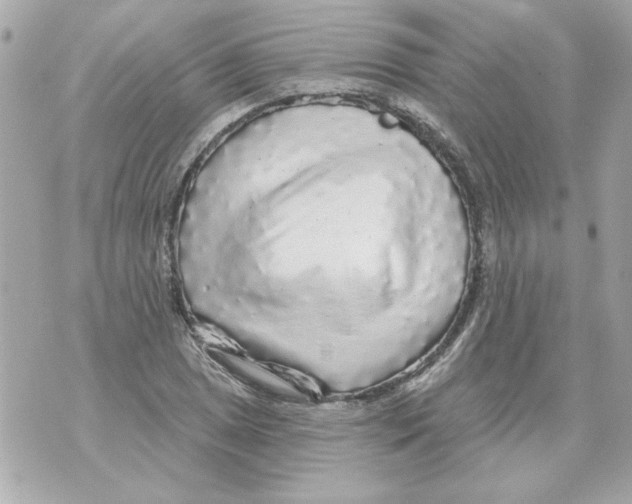 X0000070421025200607072329