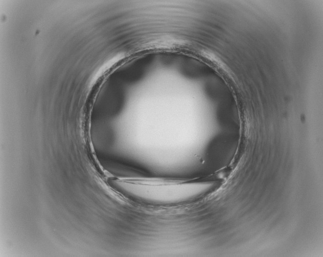 X0000070421026200607072329