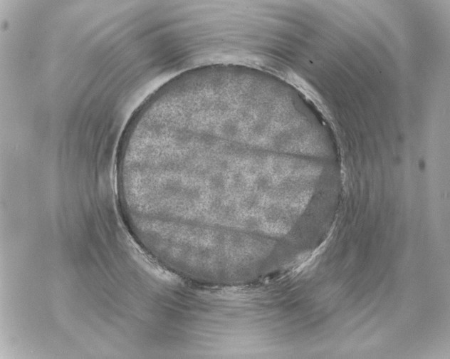 X0000070421028200607072329