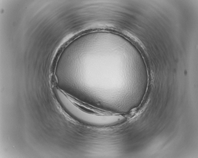 X0000070421029200607072329