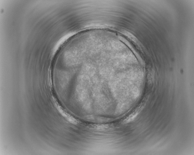 X0000070421030200607072329