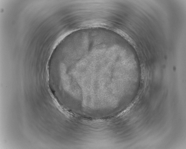 X0000070421031200607072329