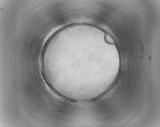 X0000070421032200607072329