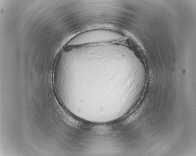 X0000070421033200607072329