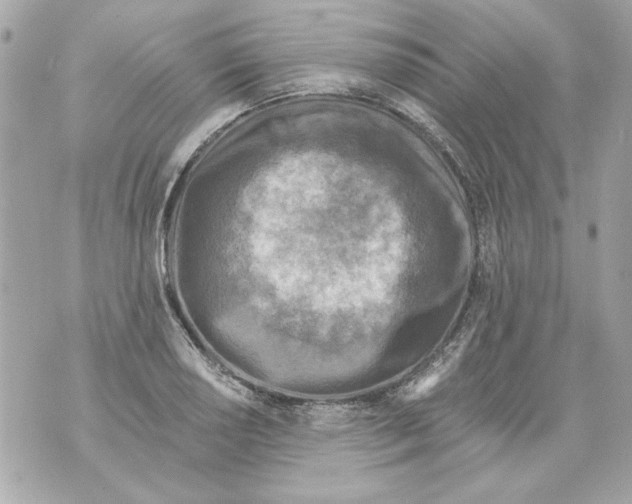 X0000070421034200607072329