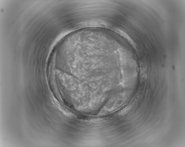 X0000070421035200607072329