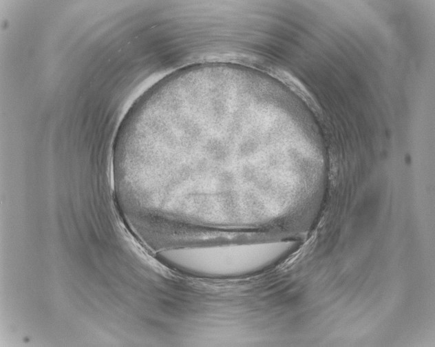 X0000070421036200607072329