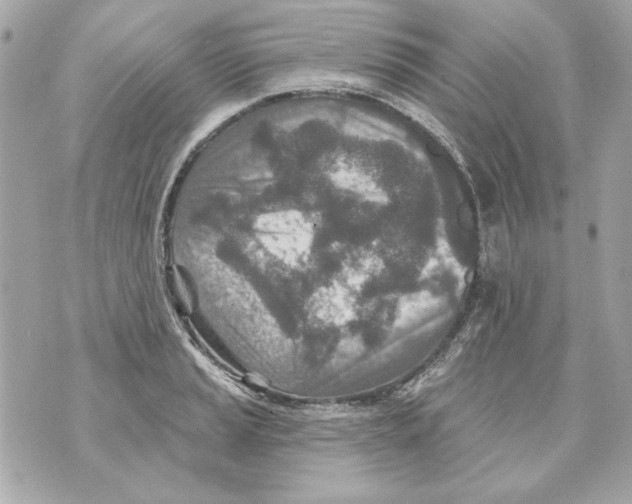 X0000070421037200607072329