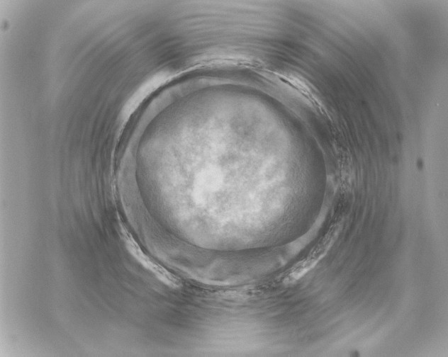 X0000070421038200607072329