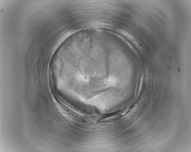 X0000070421039200607072329