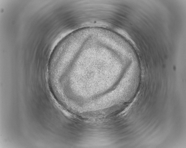 X0000070421040200607072329