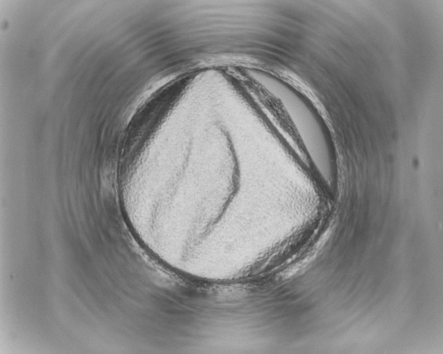 X0000070421041200607072329