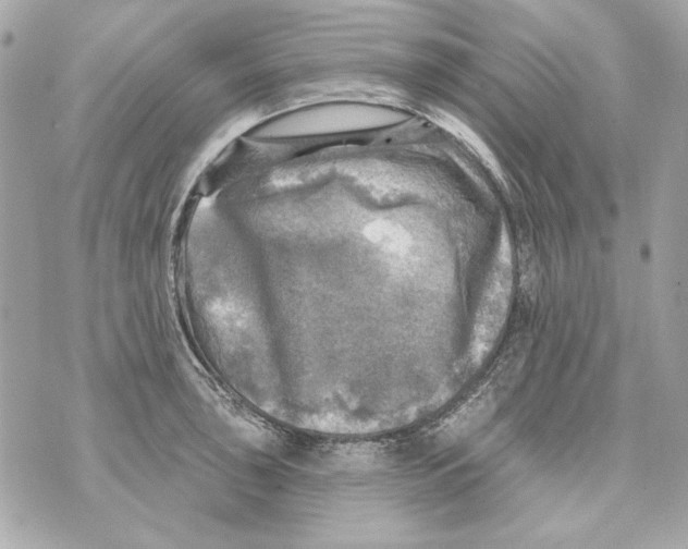 X0000070421043200607072329