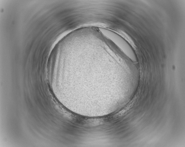 X0000070421044200607072329