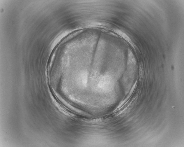 X0000070421047200607072329