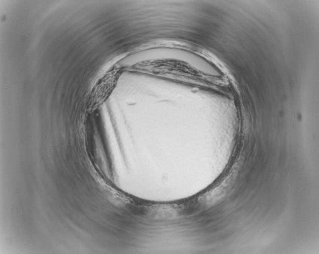 X0000070421049200607072329