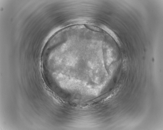 X0000070421051200607072329