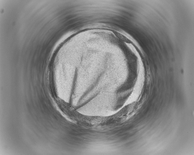 X0000070421053200607072329