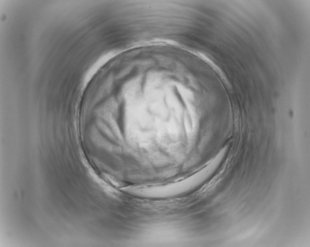 X0000070421054200607072329