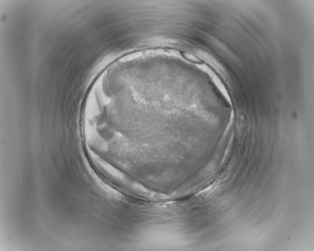 X0000070421055200607072329