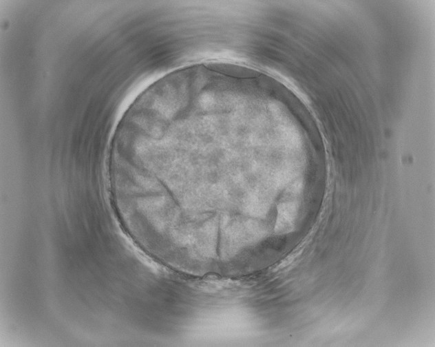 X0000070421056200607072329