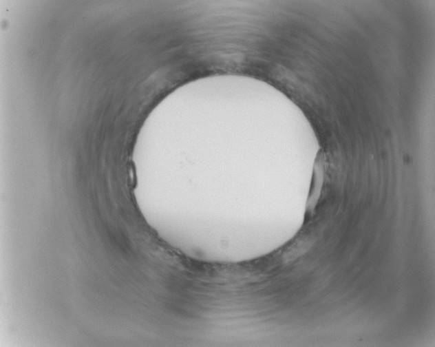 X0000070421057200607072329